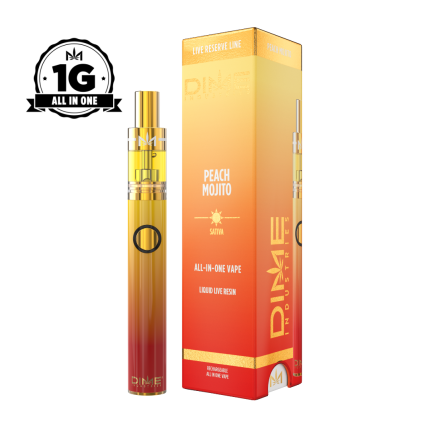 Peach Mojito 1G All In One