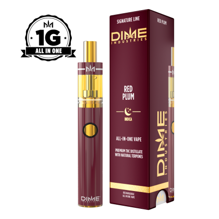 Red Plum 1G All In One Device